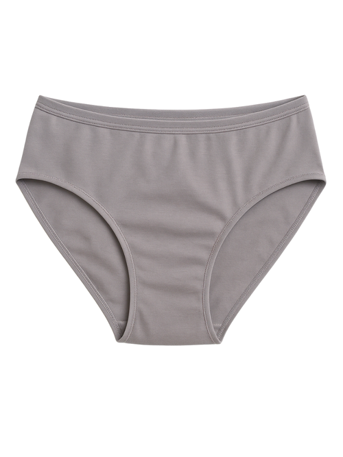 Mid Waist Hipster Panty With Outer Elastic- Grey