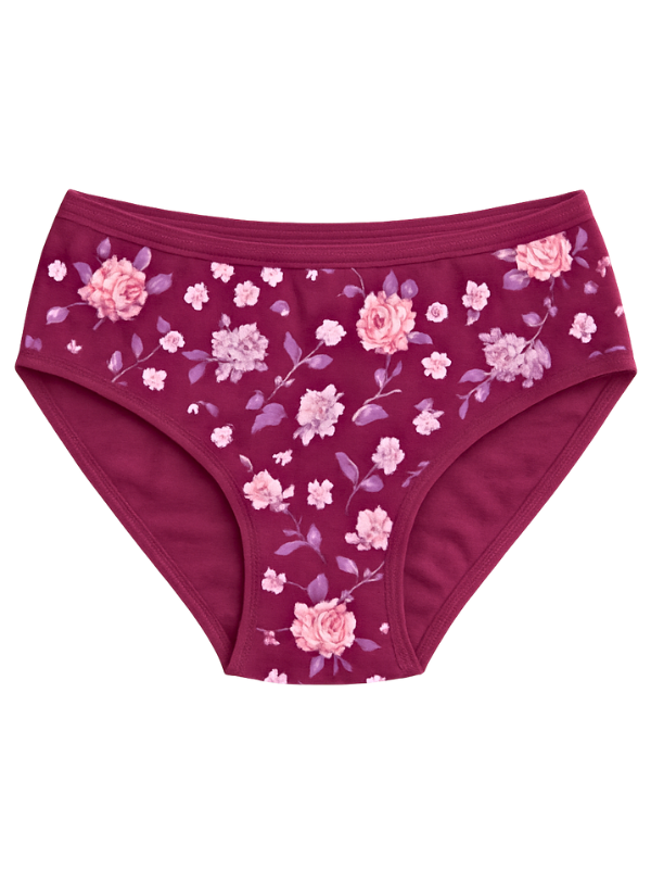 high waist hipster panties
